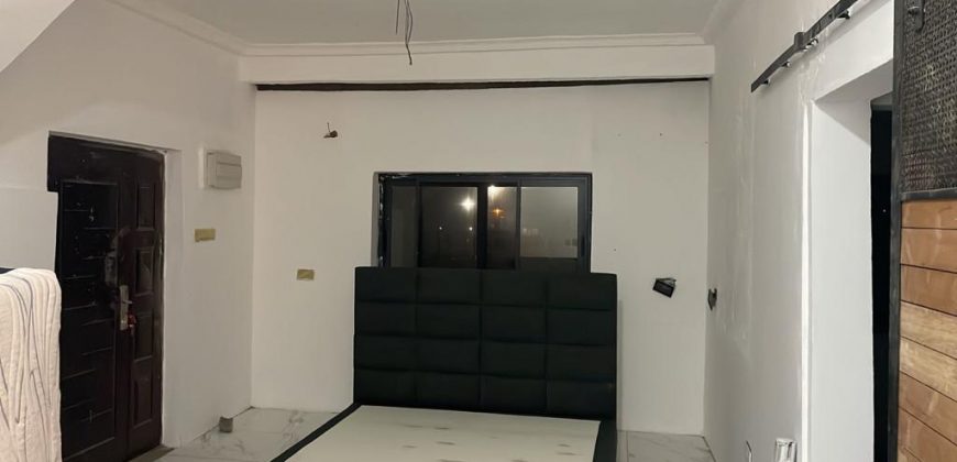 3 bedroom fully furnished house for sale at Oyibi